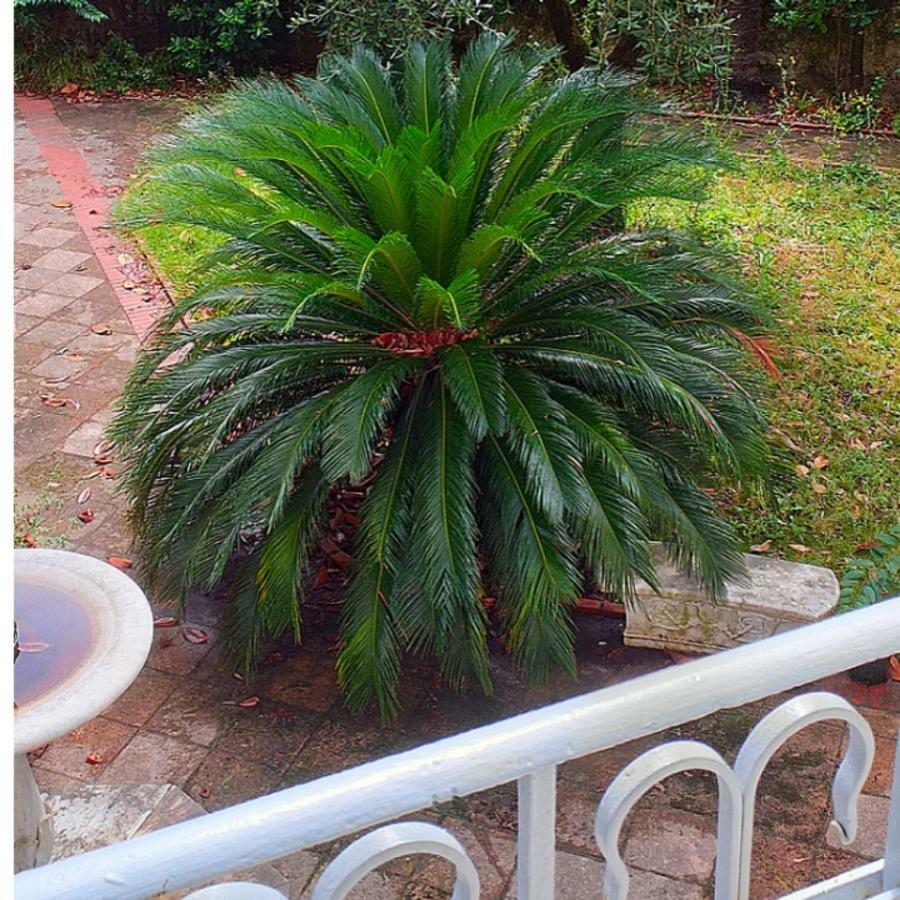 Un Giardino A Due Passi Dal Mare Apartment La Spezia Exterior photo